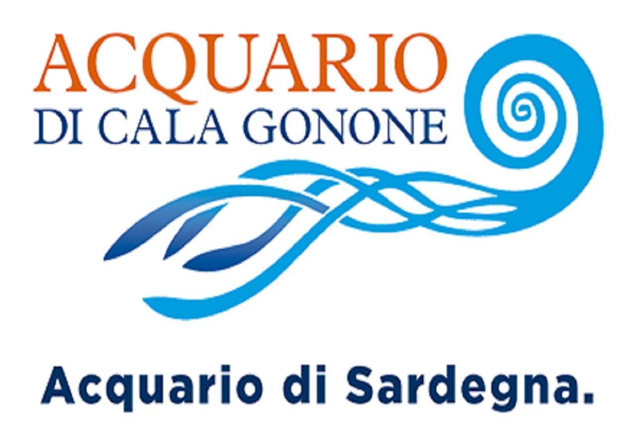 Apartment Conchiglie 2 Cala Gonone Zewnętrze zdjęcie